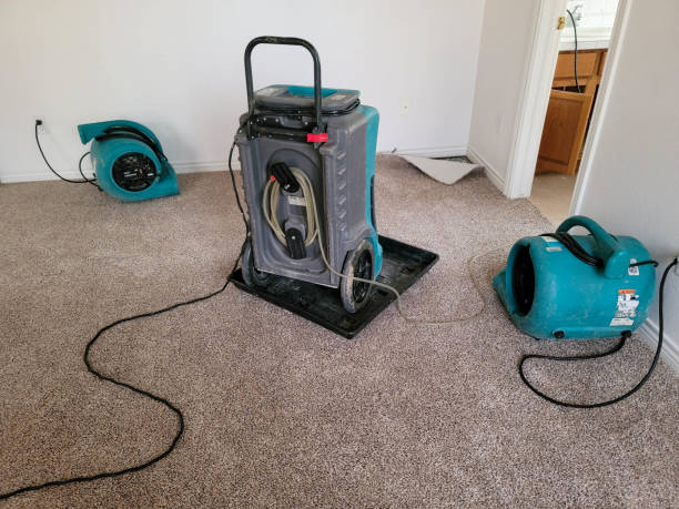 Best Sewage cleanup and water damage restoration  in King Cove, AK