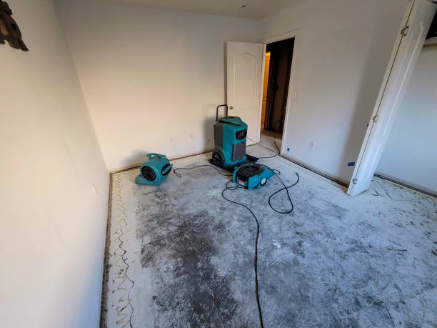 Best Flooded house restoration  in King Cove, AK