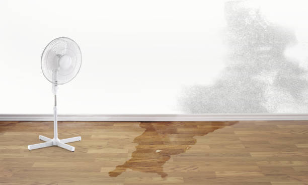 Best Commercial water damage restoration  in King Cove, AK