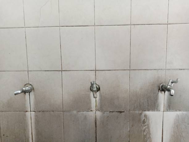 Best Flood damage cleanup  in King Cove, AK
