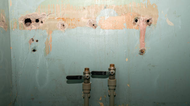 Trusted King Cove, AK Water damage restoration Experts