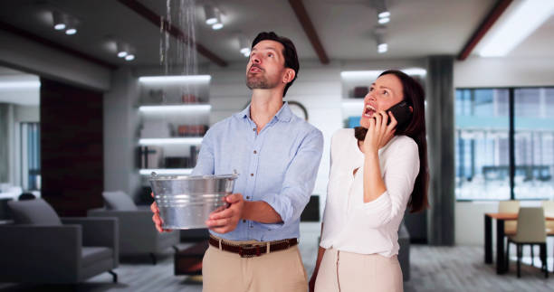 Best Fire Damage Restoration  in King Cove, AK